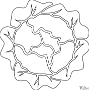 Lettuce Хэвлэх Боломжтой Будах Хуудас